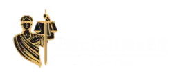 ER&GUN&ER Law Firm